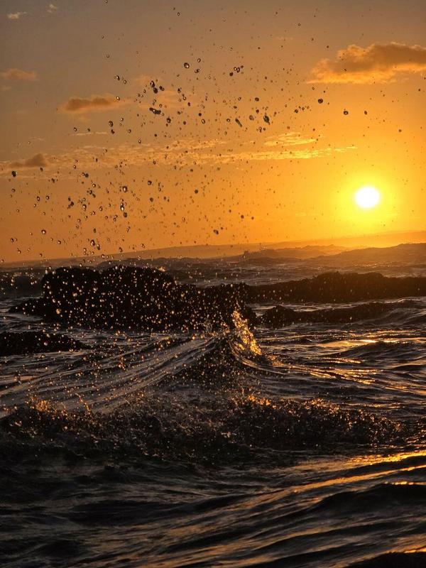 0 Bedroom Property for Sale in Moquini Western Cape